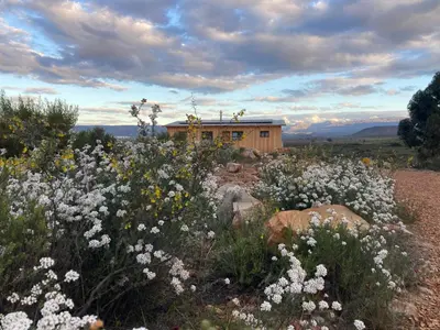 a field of flowers in front of a house at Riverbend Farm in Robertson