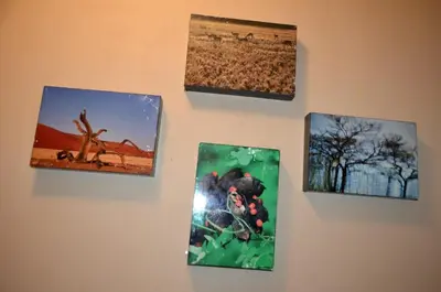 a group of pictures on a wall at ST@Y-1-BnB in Cape Town