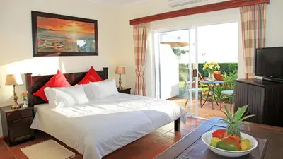 a bedroom with a bed and a television and a bowl of fruit at Somerset Sights B&B in Somerset West