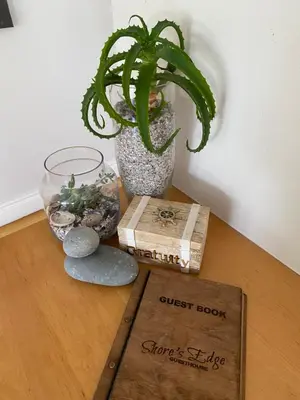 a plant in a vase sitting on top of a table at Shore's Edge Luxury Oceanfront Home in Hermanus