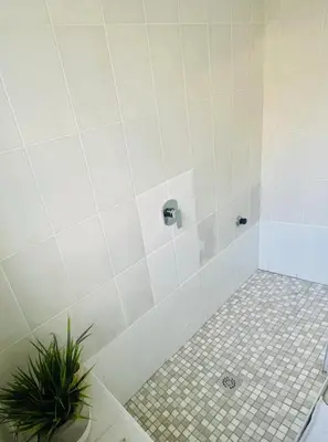 a bathroom with a shower with a plant in it at Milnerton Cottage in Cape Town