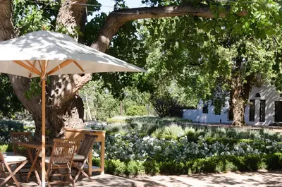 a table and chairs under an umbrella in a garden at La Paris Estate in Franschhoek