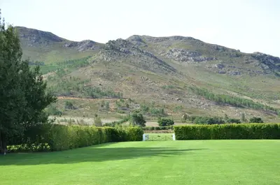 a green lawn with a mountain in the background at La Paris Estate in Franschhoek