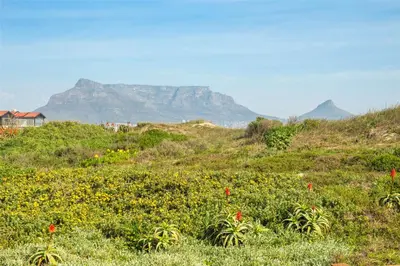 a field of flowers with a mountain in the background at Marechale Way in Cape Town