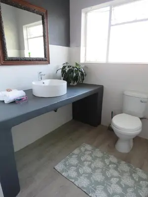 a bathroom with a sink and a toilet and a mirror at Koraalboom Guesthouse in Wolseley