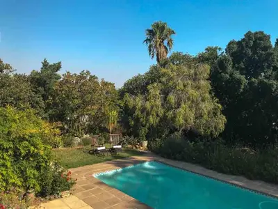 a swimming pool in a yard with a palm tree at Lavender Suite in Cape Town