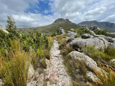 a rocky trail with a mountain in the background at McBains in Breerivier