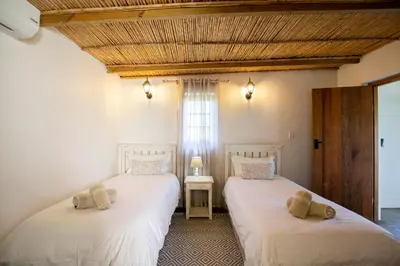 two twin beds in a room with a window at Denneboom Vineyards and Wildlife in Paarl