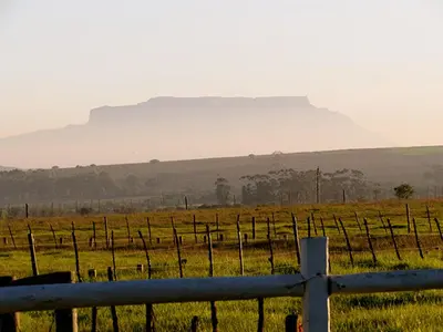 a fence in a field with a mountain in the background at Wild Clover Cottages in Stellenbosch