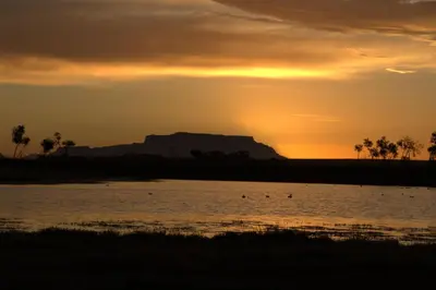 a group of ducks in the water at sunset at Wild Clover Cottages in Stellenbosch