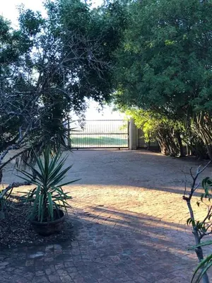 a garden with a potted plant on a brick road at The Vineyard East in Joostenberg Vlakte