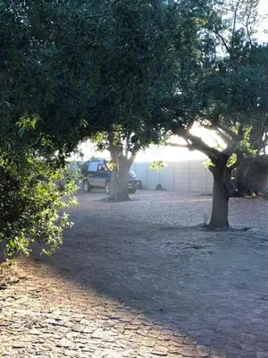 two trees and a car parked in a parking lot at The Vineyard East in Joostenberg Vlakte
