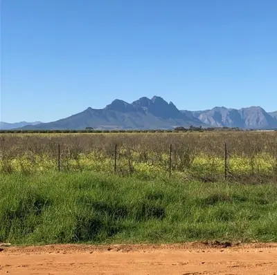 a field of grass with mountains in the background at The Vineyard East in Joostenberg Vlakte