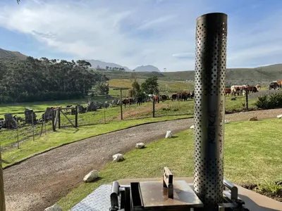 a view of a farm with cows in a field at Kleine Vrede Farm Cottage in Hermanus