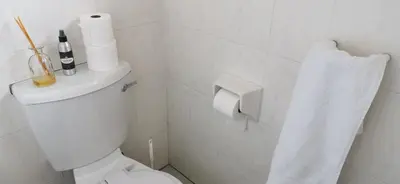 a bathroom with a toilet and a roll of toilet paper at Jasmine Cottage - Fast Wi-Fi, slow living in Hermanus