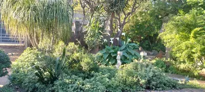 a garden with trees and plants in front of a building at Caesar's Self-catering Open Plan Suite in Somerset West