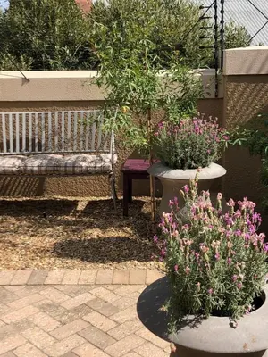 a bench in a garden with some plants and flowers at Flavours at 34 in Gordonʼs Bay