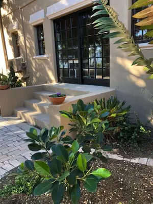 a house with a plant in front of a building at Flavours at 34 in Gordonʼs Bay