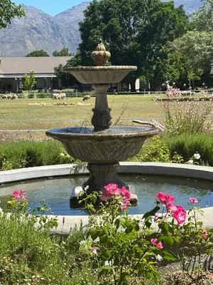 a fountain in a garden with pink flowers at Lynx Wine Estate in Franschhoek