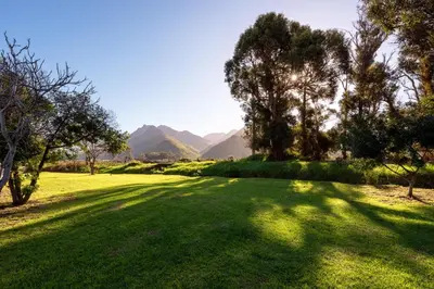 a green field with trees and mountains in the background at Honeyrock Cottages in Kleinmond