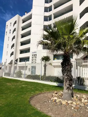 a palm tree in front of a building at 603 Nautica in Cape Town