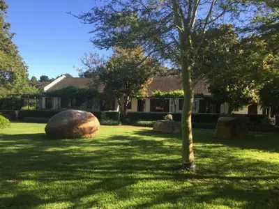 a house with a tree and a large rock in the yard at Navarre Farm Cottages in Stellenbosch
