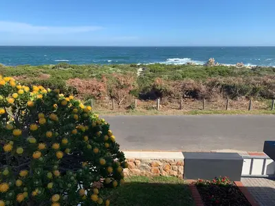 a large bush with oranges on it next to a road at Bungalow by the sea near Cape Town in Kleinmond