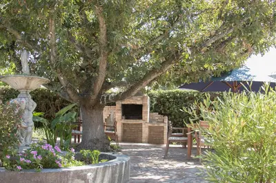 a park with a tree and chairs and a fountain at The Yacht in Hermanus