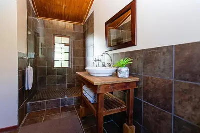 a bathroom with a sink and a mirror at Vergenoegd in Brandwacht