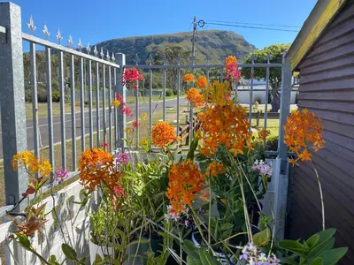 a fence with flowers in front of a street at Hermanus 60 on Flat in Hermanus