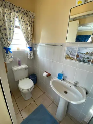 a bathroom with a white toilet and a sink at Hermanus 60 on Flat in Hermanus