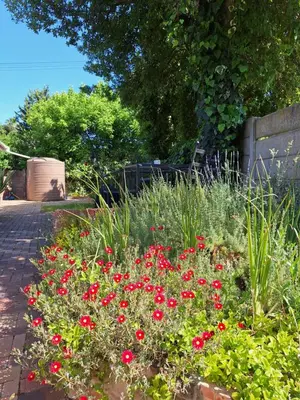 a garden with red flowers in the middle of a sidewalk at Little Elm Cottage in Cape Town