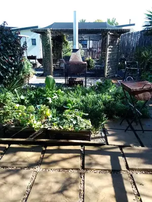 a garden with some plants in a patio at 33onGill in Cape Town