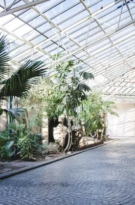 a greenhouse with a bunch of trees and plants at Strand Pavilion in Strand