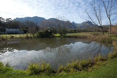 a pond of water with mountains in the background at Viettz Suite Annex in Stellenbosch
