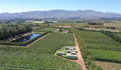 an aerial view of a vineyard with a house at Moortop Cottages in Elgin