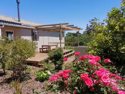 a backyard with a wooden bench and roses at Moortop Cottages in Elgin