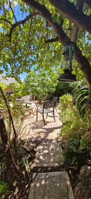 a light hanging from a tree with a bench at Goedehoop in Somerset West