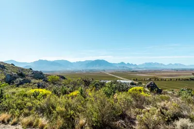 a view of the desert from the top of a hill with yellow flowers at ATKV Goudini Spa in Rawsonville