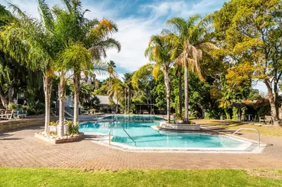 a swimming pool with palm trees around it at ATKV Goudini Spa in Rawsonville