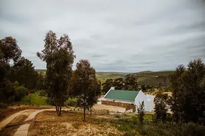 a white barn with a green roof next to a road at Blue Crane Farm Lodge in Botrivier
