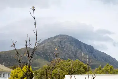 a mountain in the distance with trees in the foreground at Church Street Luxury Apartments in Stellenbosch