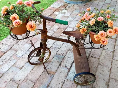 an old rusty bike with flowers in pots at La Rochelle in Wellington