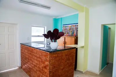 a room with a counter with a vase with a plant on it at Relaxing Guest House in th Heart of Ndabeni in Cape Town