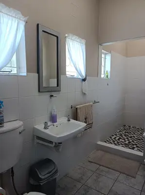 a bathroom with a sink and a toilet and a mirror at Kleine Nessie in Worcester