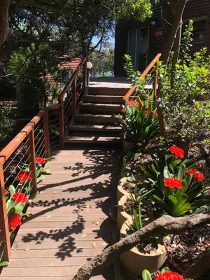 a wooden staircase leading to a house with flowers at Little Haven 10 & 12 in Hermanus