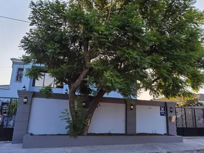 a tree in front of a building with two garage doors at Victoria Guest Lodge in Bellville
