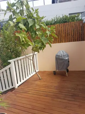 Gallery image of Belle Vue Guesthouse in Hermanus