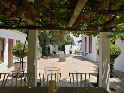 a view of a patio with chairs and a table at Avontuur Manor House and Wine Estate in Somerset West