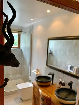 a bathroom with a sink and a large mirror at The Guardian Hermanus Luxury Self-Catering Hemel en Aarde Valley in Hermanus